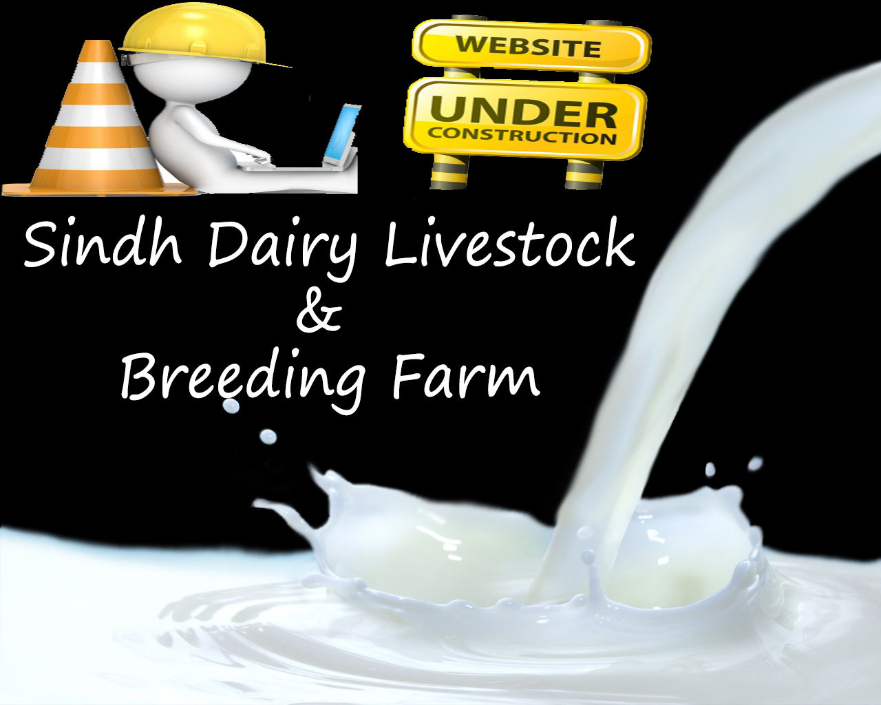 Sindh Dairy Livestock & Breeding Farm